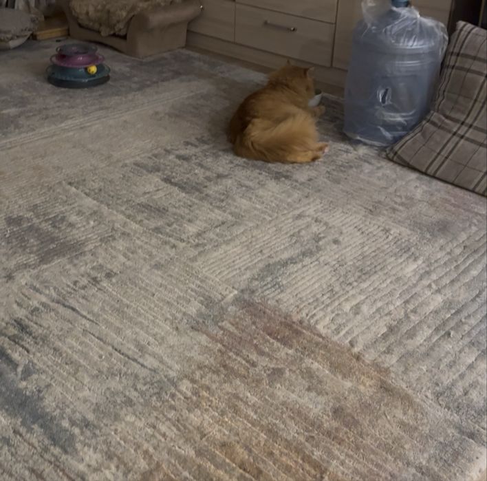 Продаю два ковра