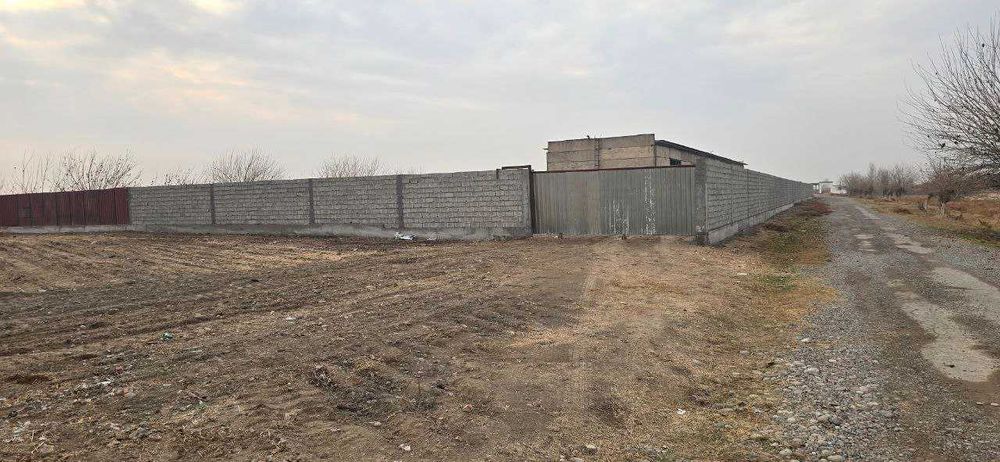 Куйчирчикский район, база, 59соток, Уччинор, Аккурган