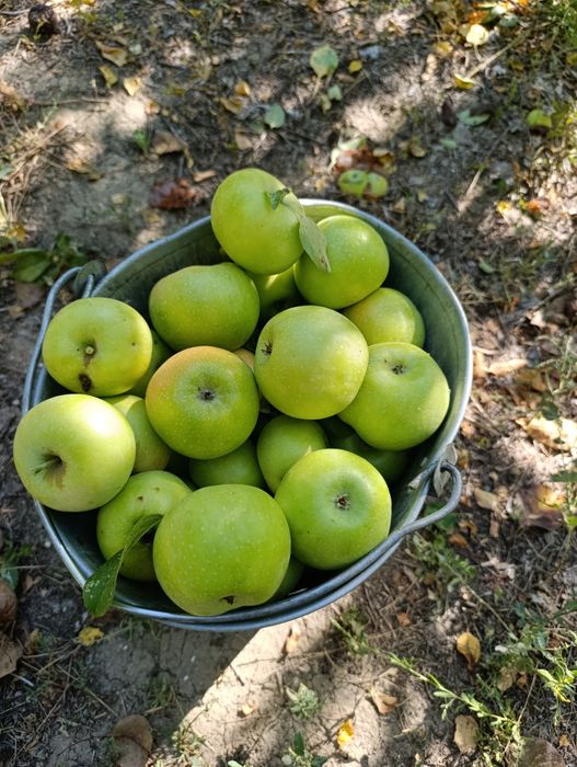 Проддам дачу с/о Химик