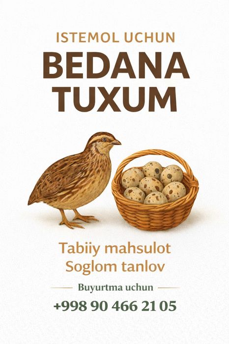 Bedona Bedana tuxumlari