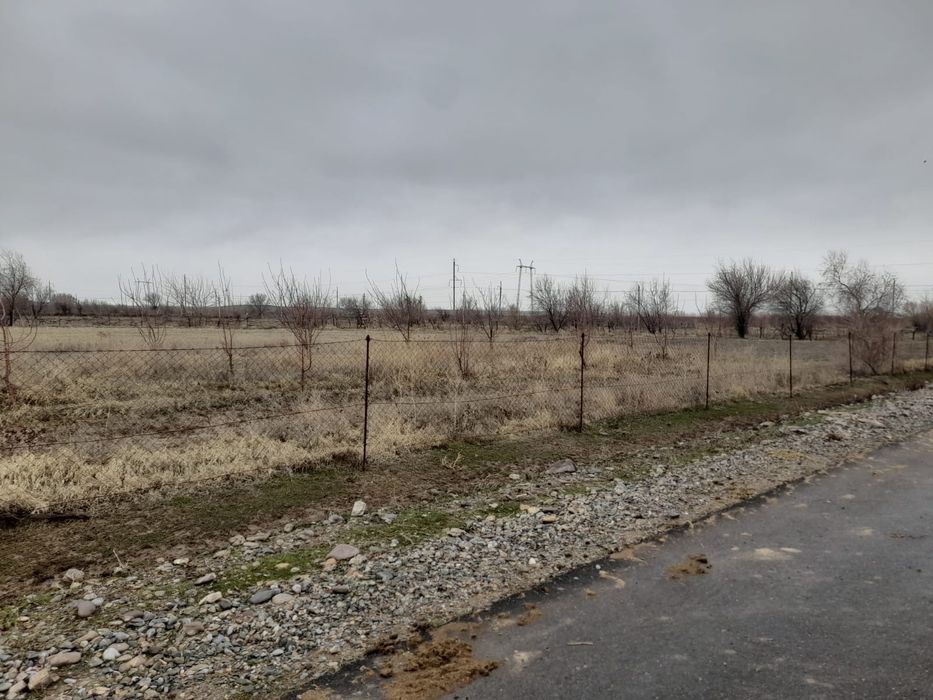 Құсшы ата,Участок 25 соток