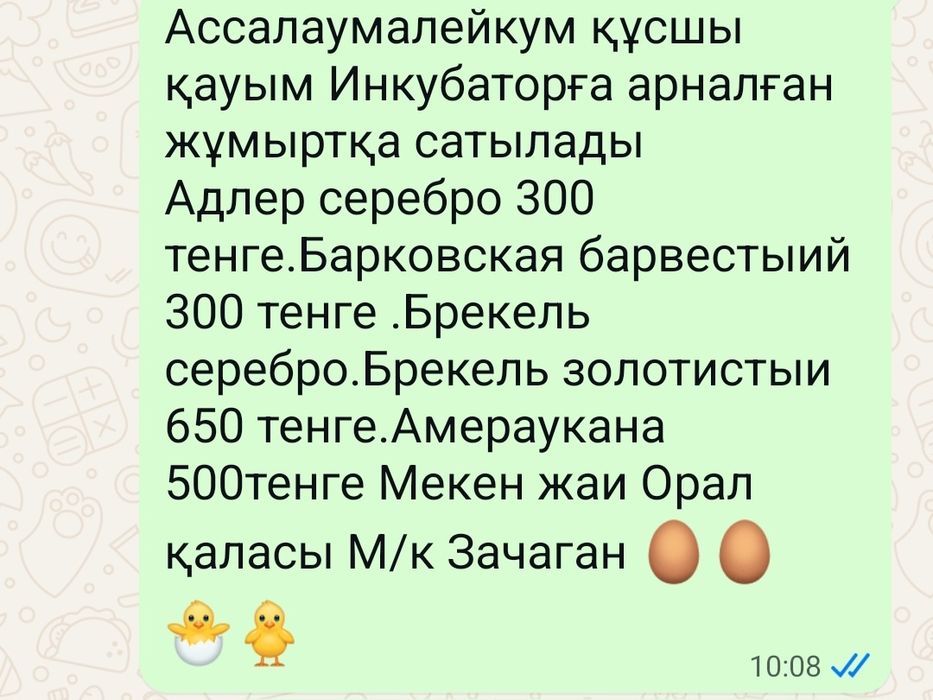 Яйцо Инкубационные