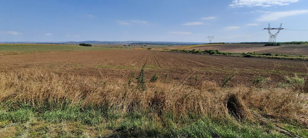 Teren 6000mp Bogdan Voda-A7-centura Bacau - Vedere 2