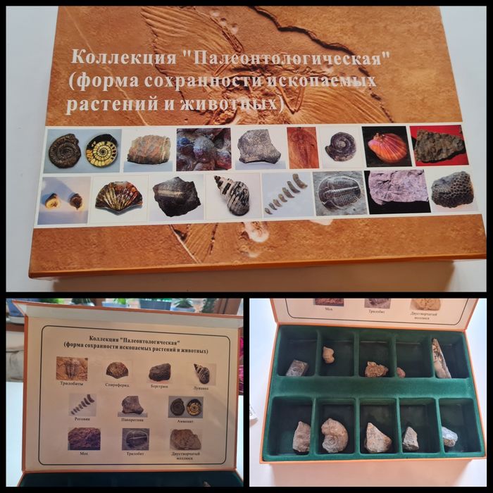 Шикарные наборы для коллекции