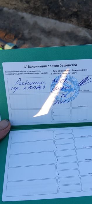 Немецкий авчарка