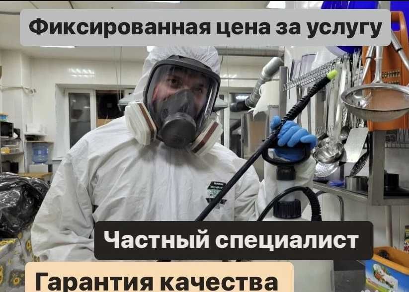 ВЫГОДНО! Услуги по уничтожению насекомых. Dezinfeksiya xizmati 24 soat