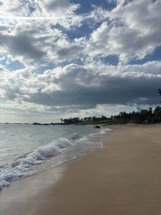 Тур поездка по всему миру