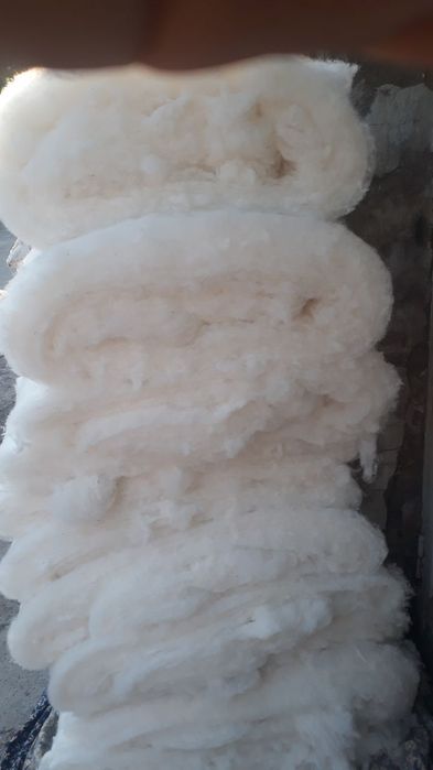 Paxta titish sehi sifatli