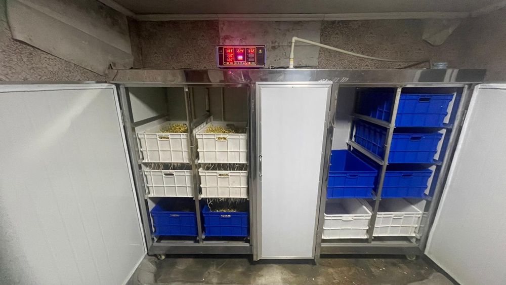 Автоматический инкубатор для соевых ростков