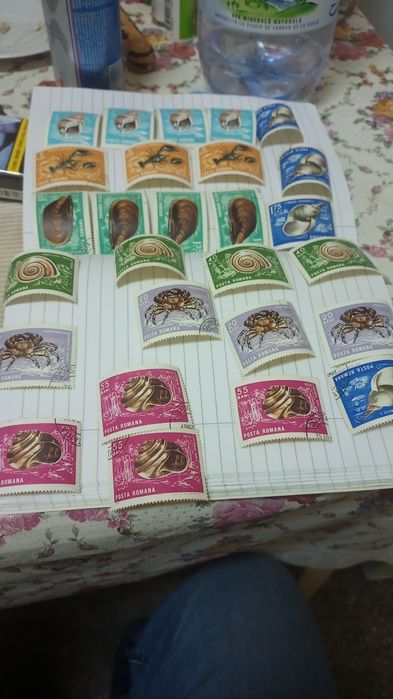 Vând colecție de timbre