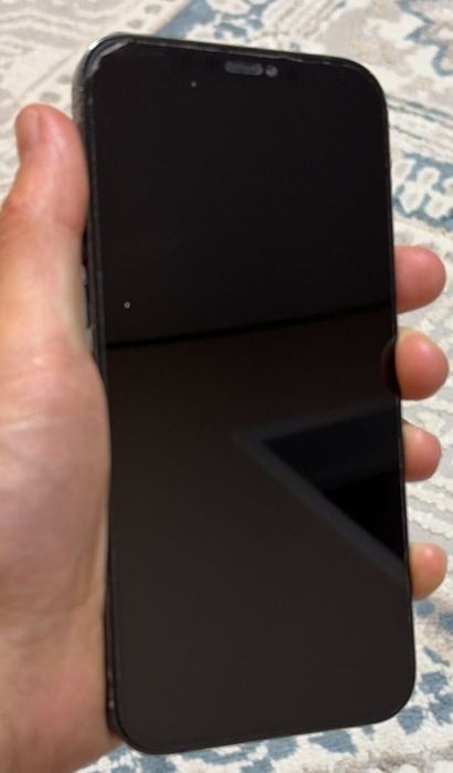 Iphone 12 pro max