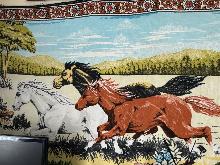 5 carpete persane pentru pereti, in stare foarte buna.