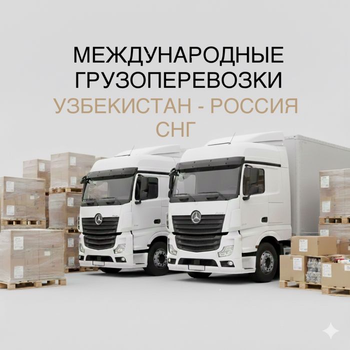 LITEZ GROUP (LITES SERVICES) - международные грузоперевозки