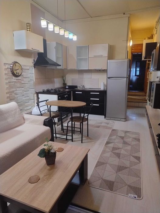 Apartament/ Studio de închiriat