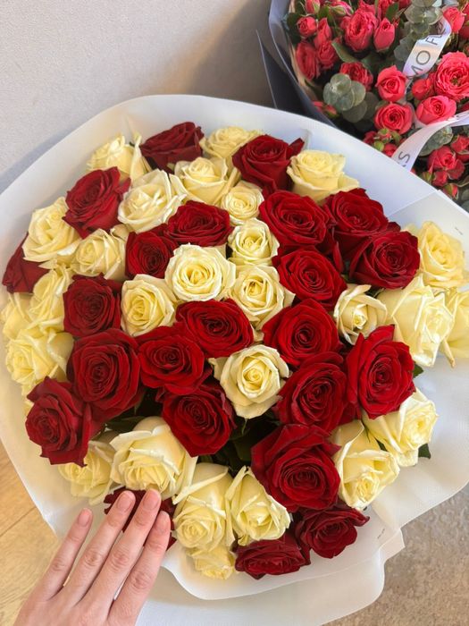 51 роз свежие розы очень красивые