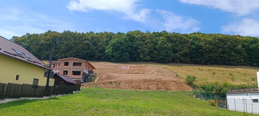 Teren Intravilan Strada Dedradului