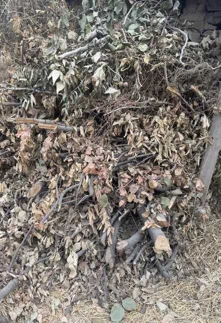 Utin sotiladi. Mevali daraxtlar, shoxlari kundalari 3-4 moshina