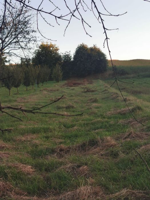 Casă cu Teren  Humulesti- Preț Negociabil!