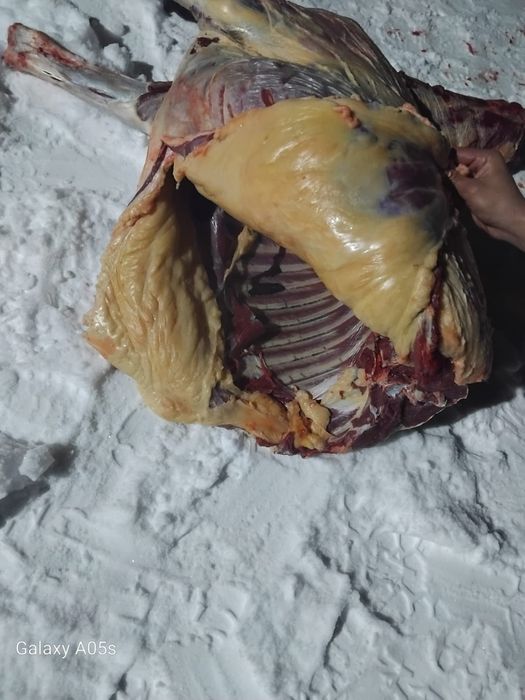 Мяссо конина мяссо