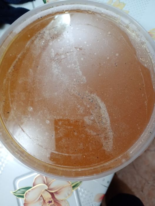 Продам мед натуральный