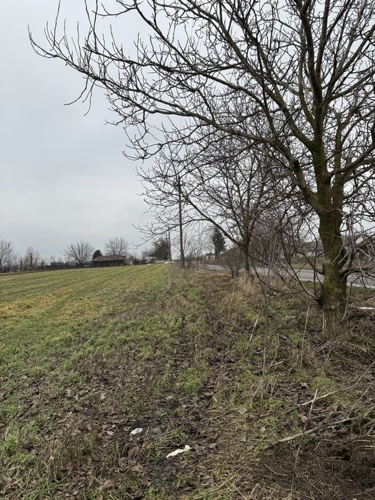 Vand teren extravilan 5000 mp