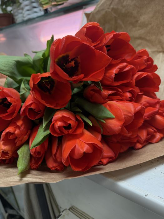 Тюльпаны 650 тенге