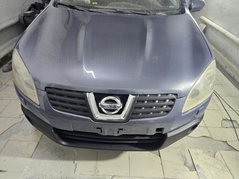 Маляр костоправ доступные цены