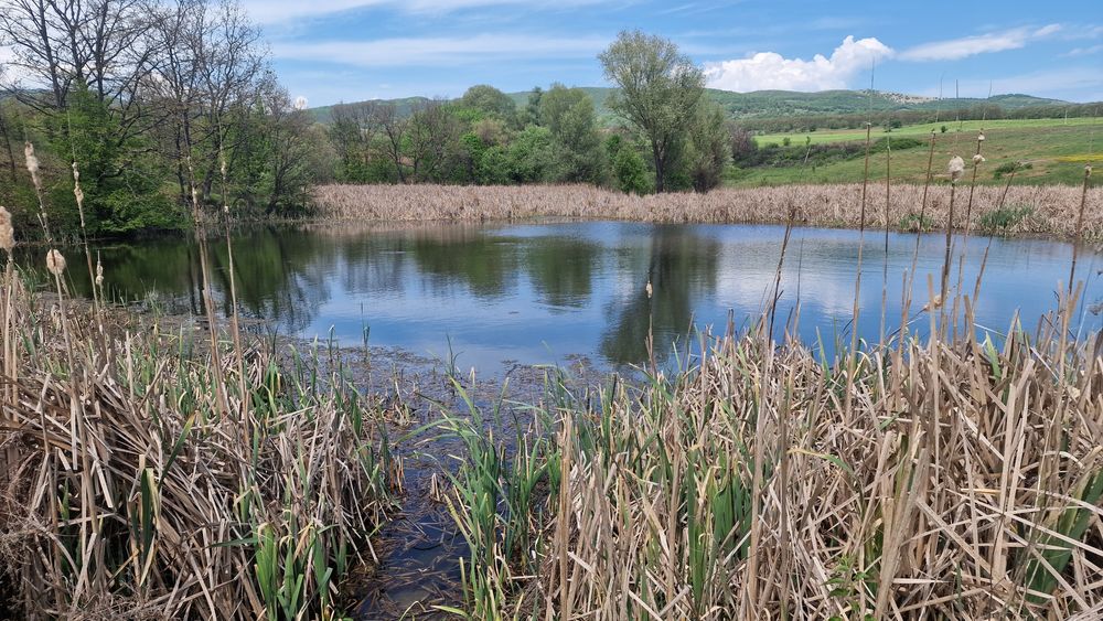 Продава се Земеделски имот в Айтос -  кв.м за 886 €/дка - Снимка #3