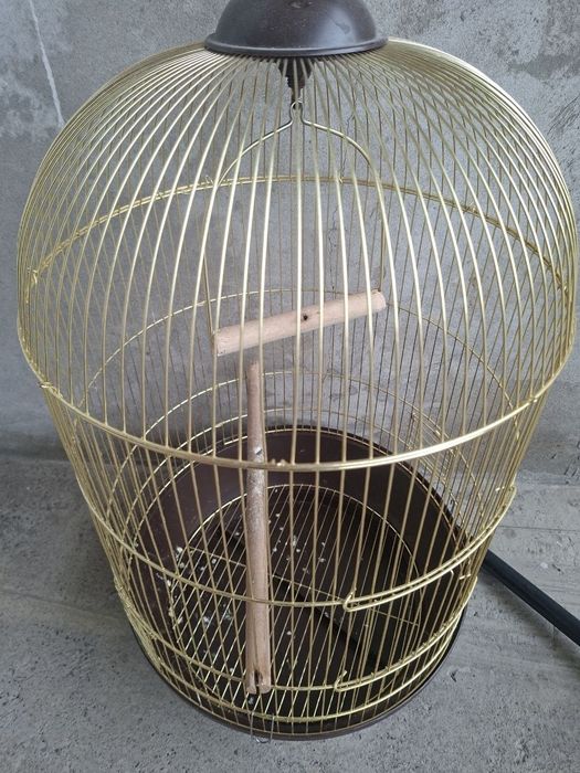 To'ti qafas yaxshi holatda