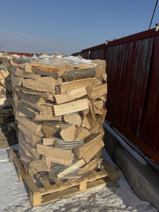 Producator de lemn de fag