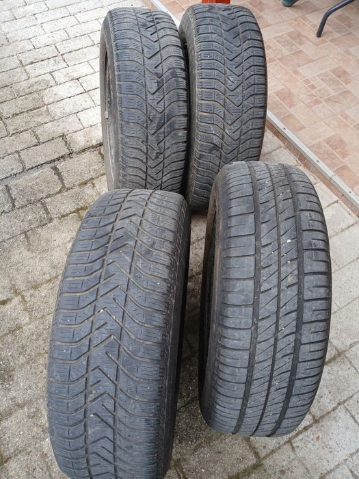 Caucicuri genți auto