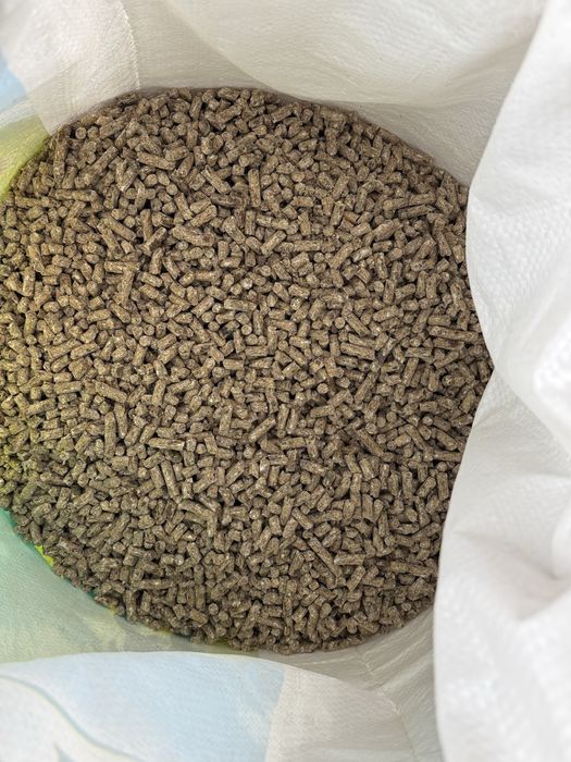 Aziyafeed bordoqchilik va sut yonalishiga novvos sigir va qoylarga yem