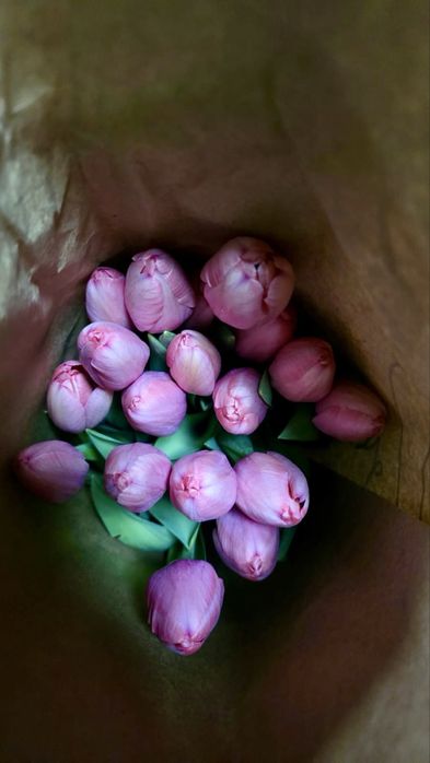 Тюльпаны доставка цветы