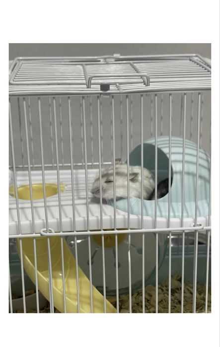 Клетка для хомяка