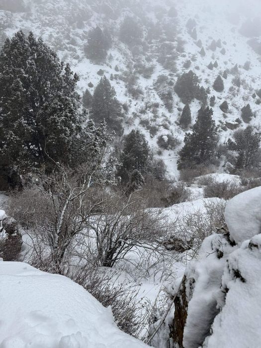 келтемашат жер телимы