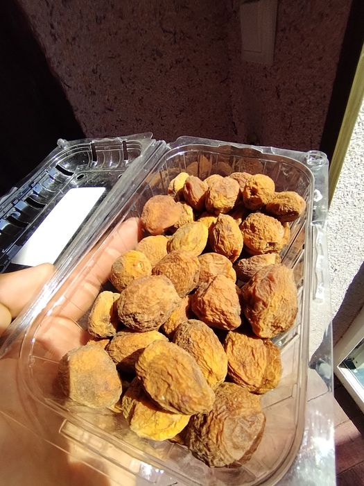Qandak oriklar vodiyniki