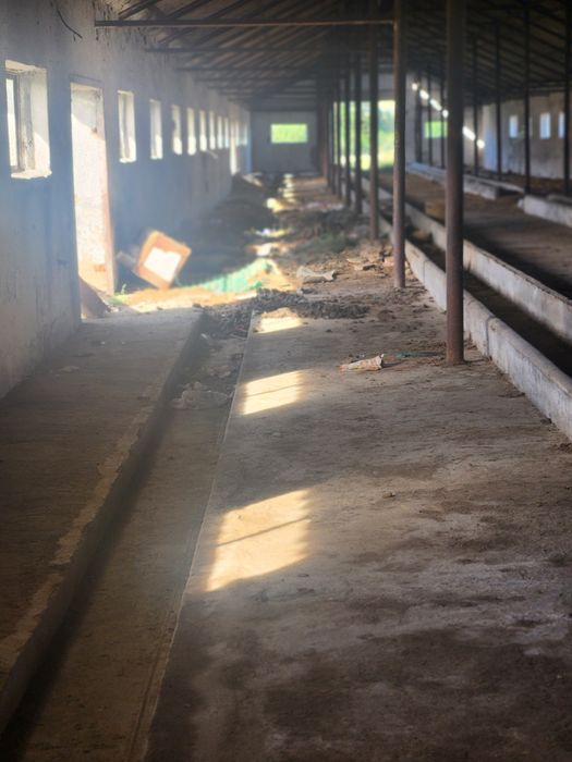 Vând sau Închiriez 2  Hala si teren Rausor Brașov