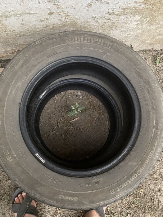 Продам 3 шины 195/65/15 бу