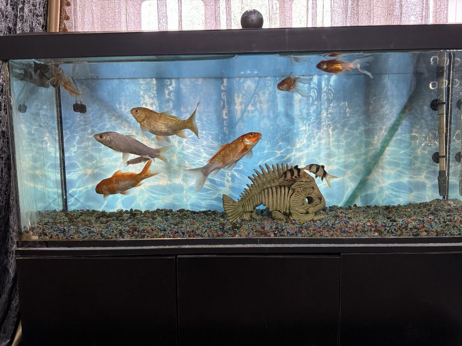Продам Аквариум на 200литров