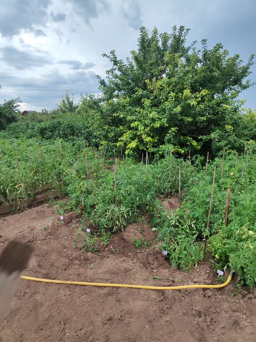 Дача на Уралочке