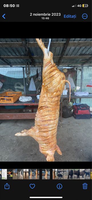 Protap de inchiriat si berbecuti