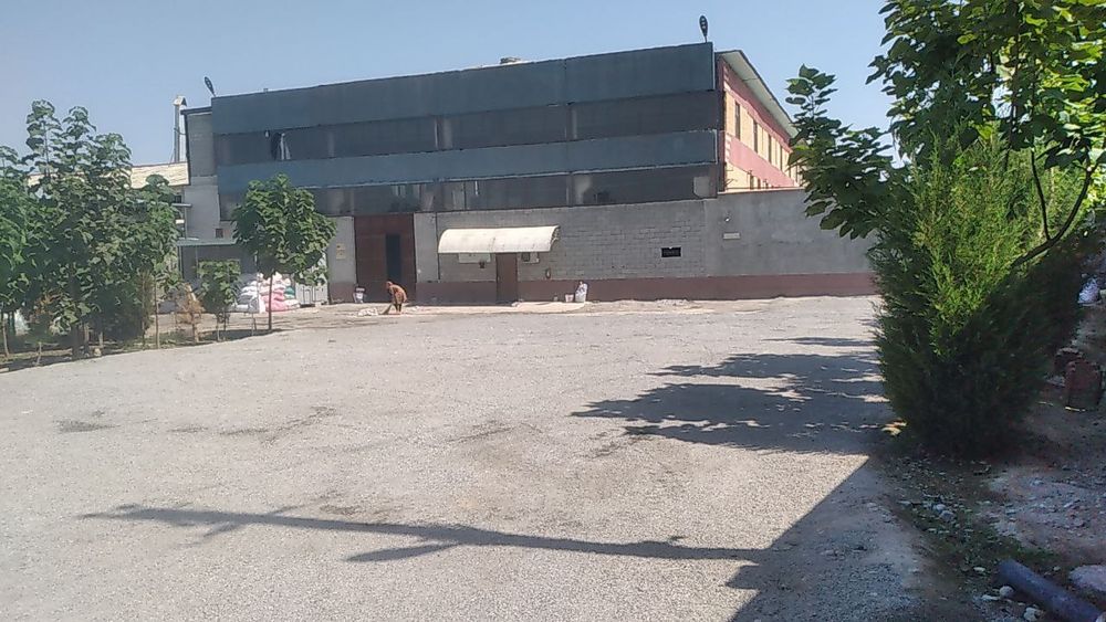 Бино ижарага берилади