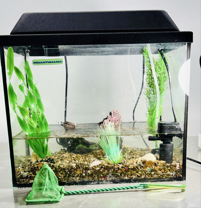 Аквариум 38х31х21 для рыб