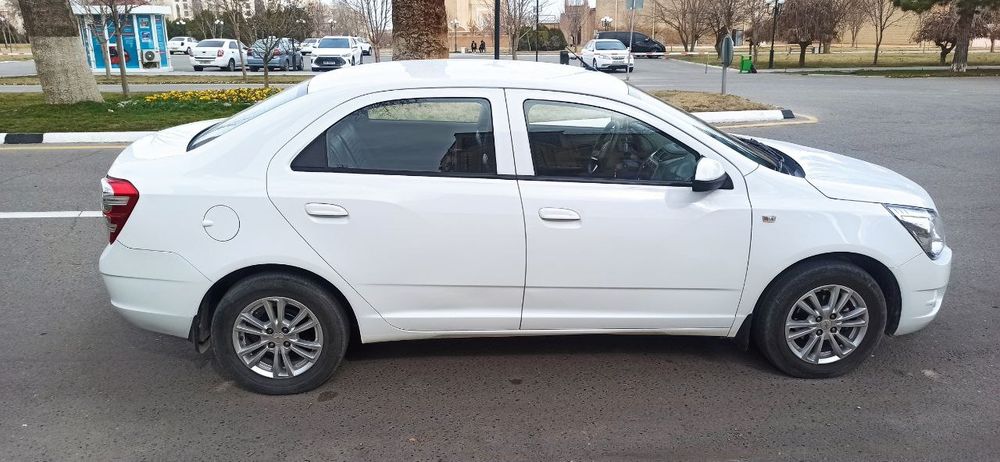 Кобольт белый 2021г.