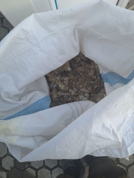 Навоз голуби для удобрения