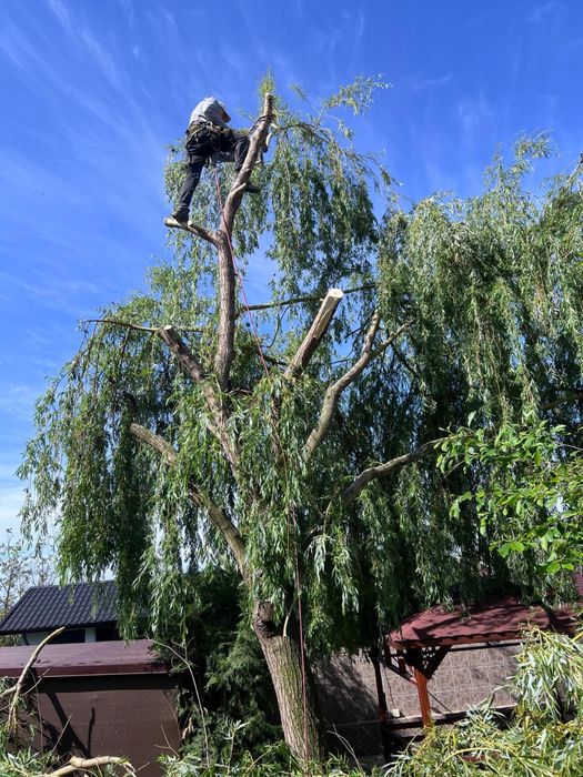 Alpinisti utilitari / tencuieli devirative, placari , lucrari inaltime