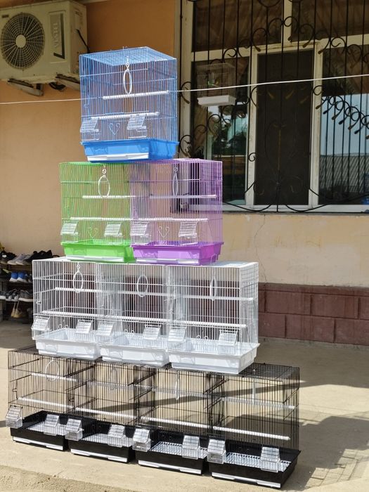 Попугай комплект с клеткой