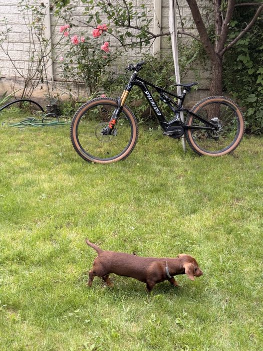 VAND/SCHIMB Specialized turbo levo comp full axs
