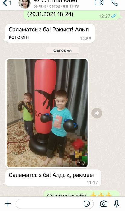 Боксерская груша.  Чемпионский Набор