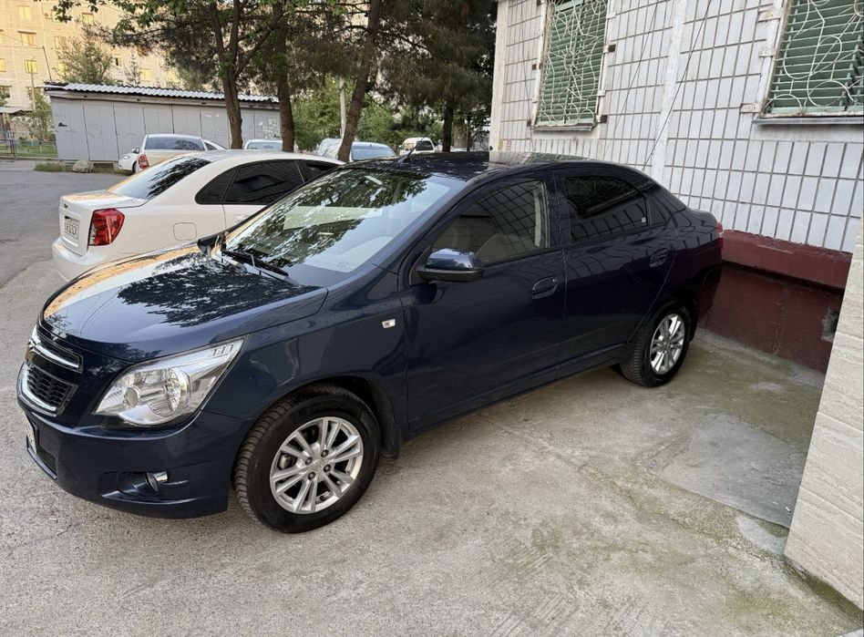 Cobalt kinda blue 2023